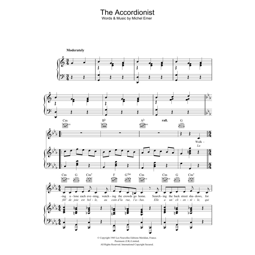 The Accordionist